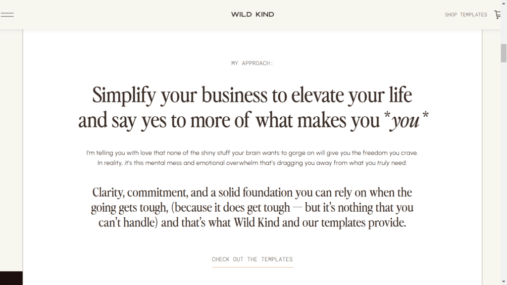 Screenshot of a website template shop's About Page sharing their purpose, mission, vision, and values on a white page with black font.